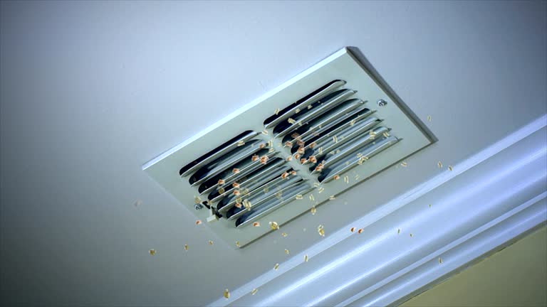 Best Home Air Vent Cleaning  in Decherd, TN