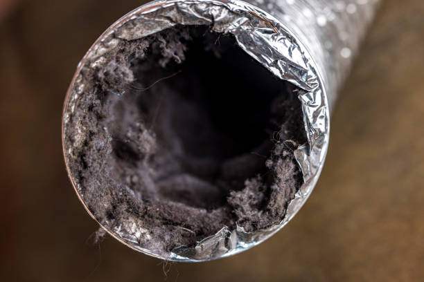Professional Airduct Cleaning in TN